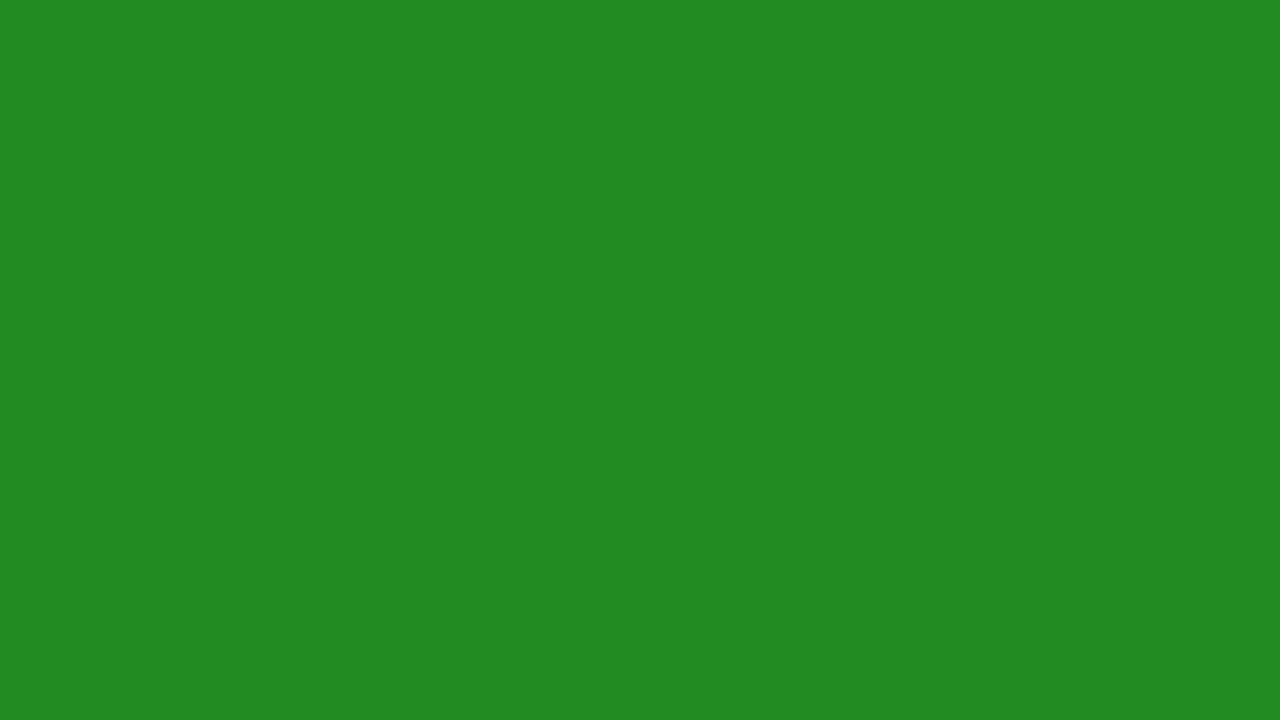 Floresta background #228B22